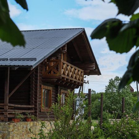 Сottage "Ksenija" Котедж "Ксенія" Szkole Kültér fotó