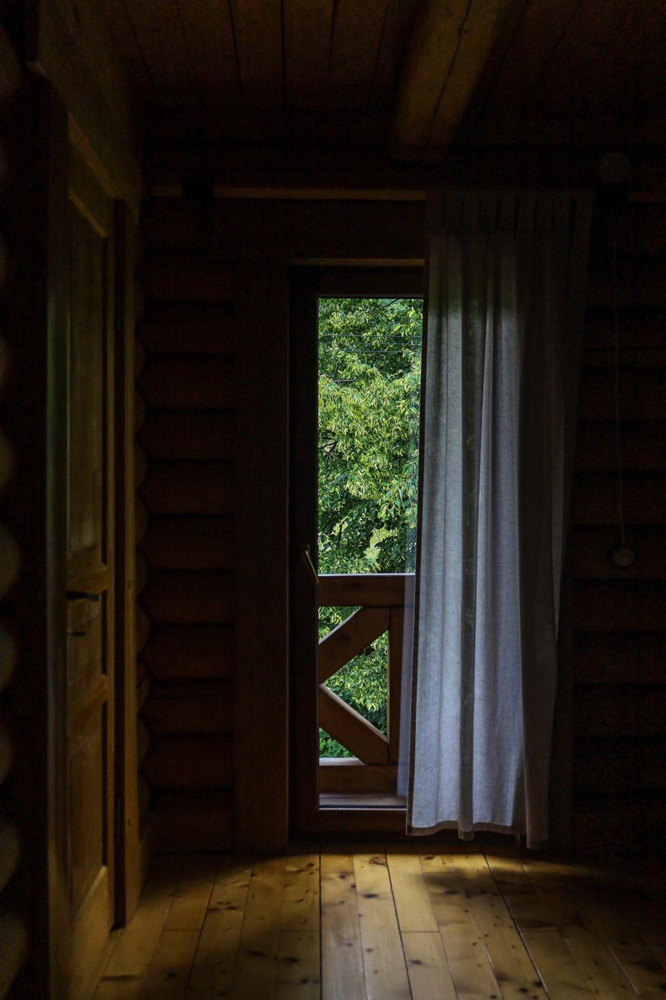 Сottage "Ksenija" Котедж "Ксенія" Szkole Kültér fotó
